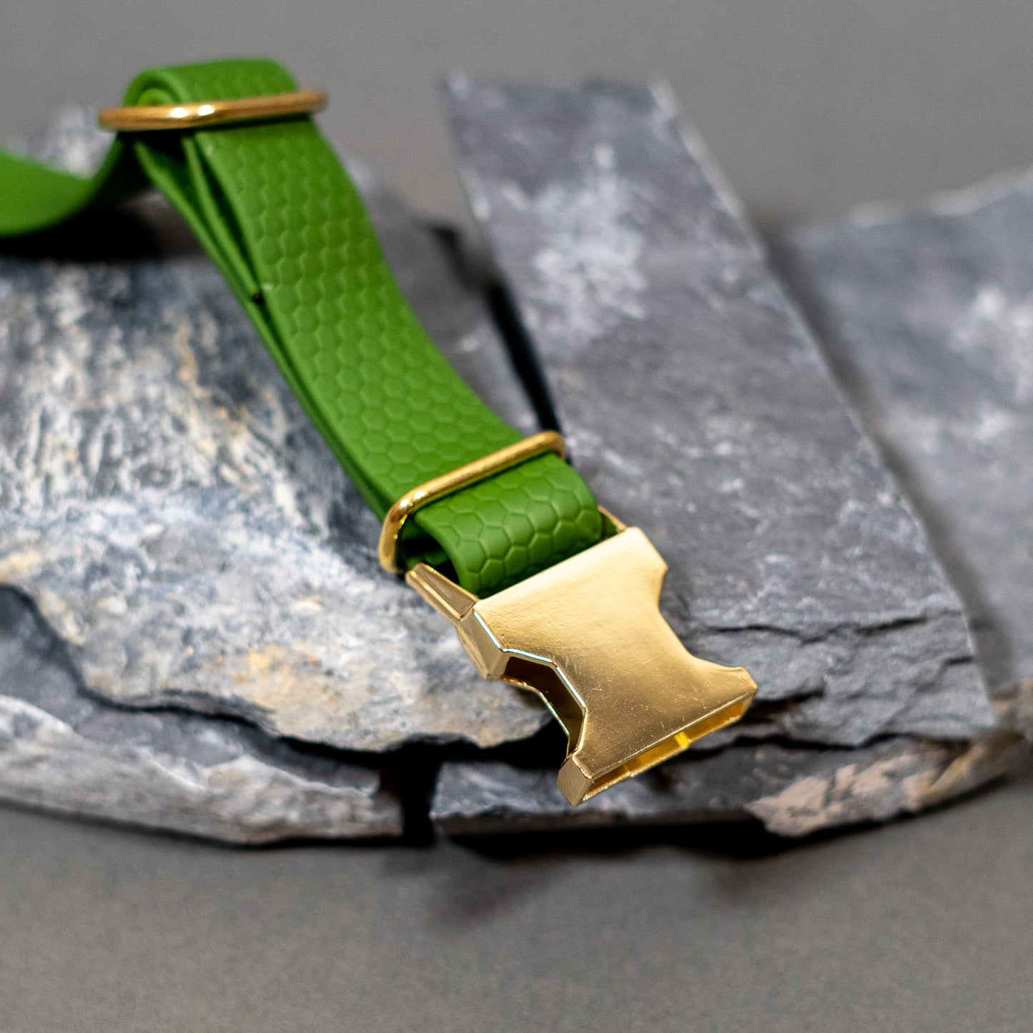 Green / Gold / Small - 11” - 15”
