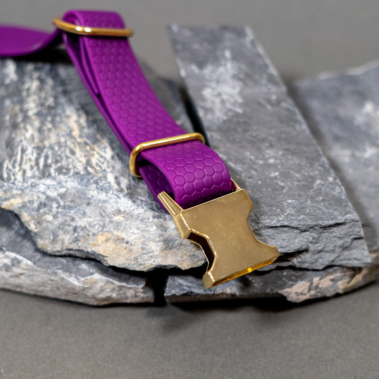 Purple / Gold / Small - 11” - 15”