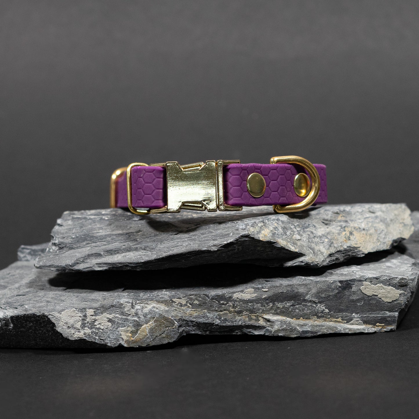 Purple / Gold