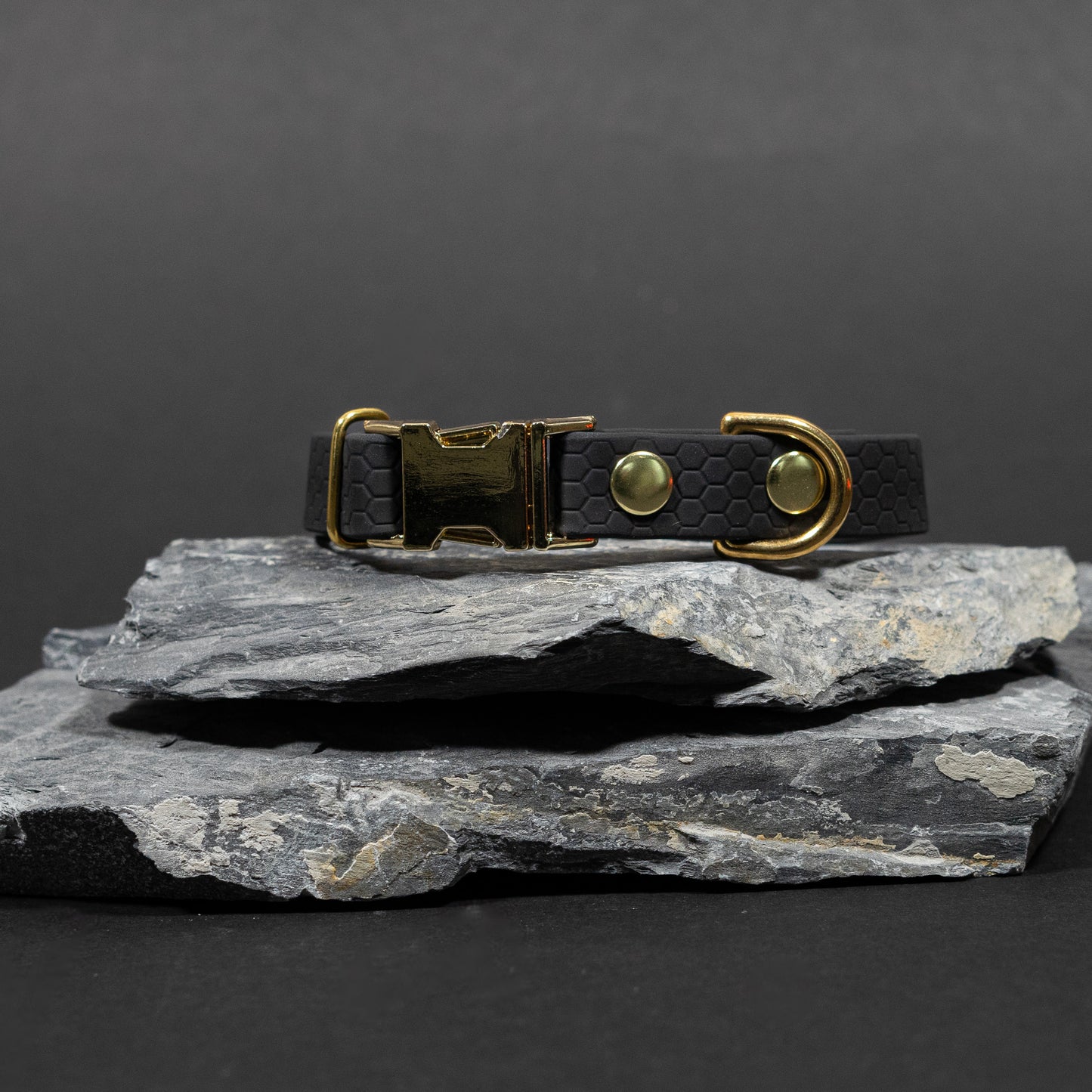 Black / Gold