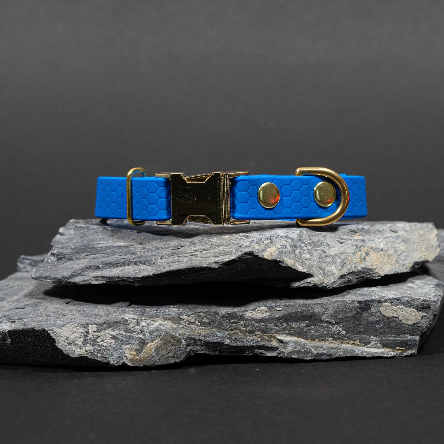 Blue / Gold