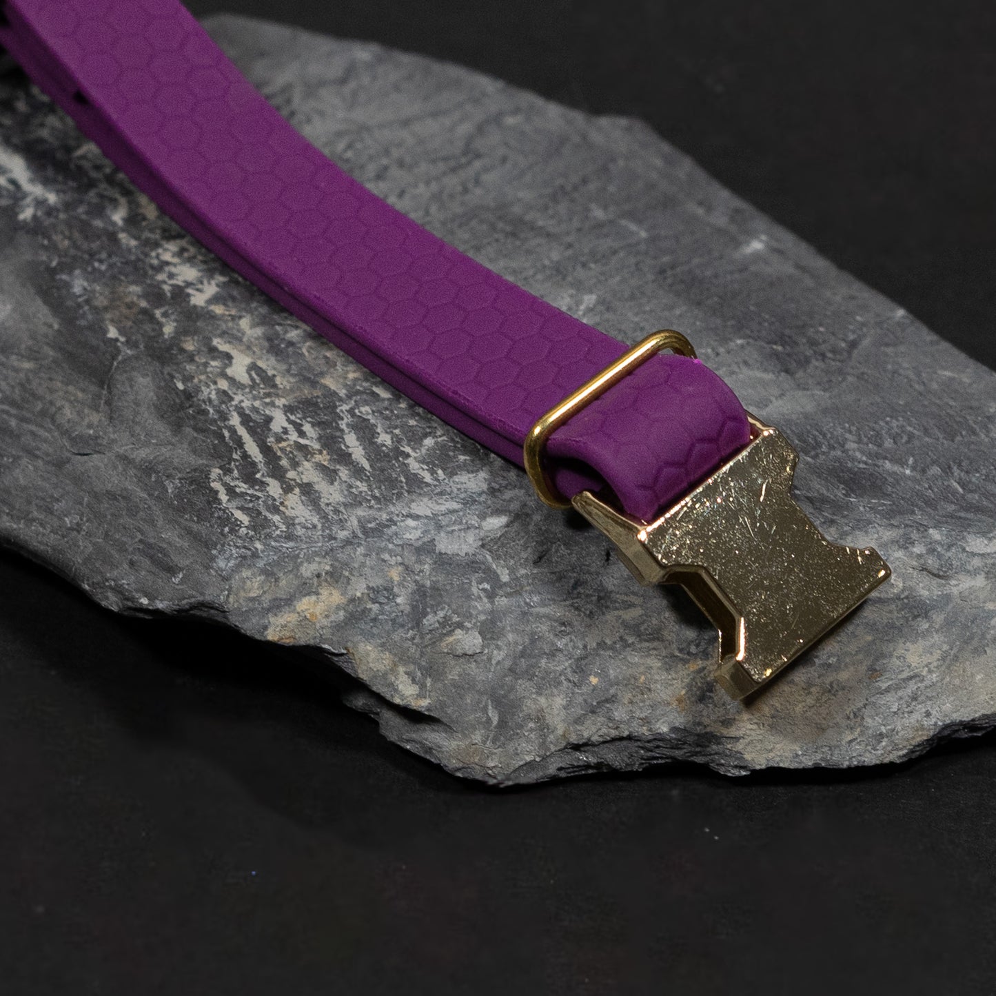 Purple / Gold