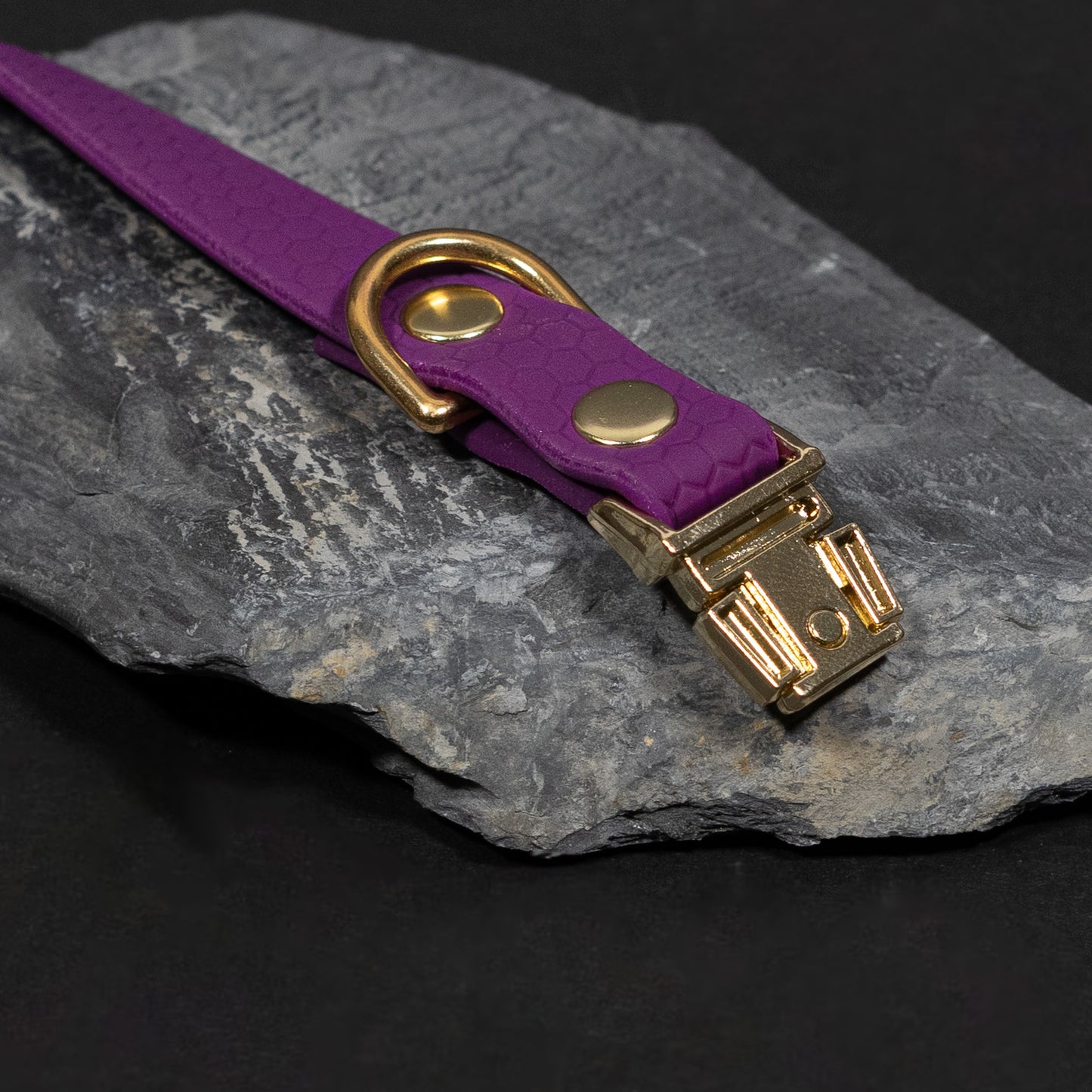 Purple / Gold