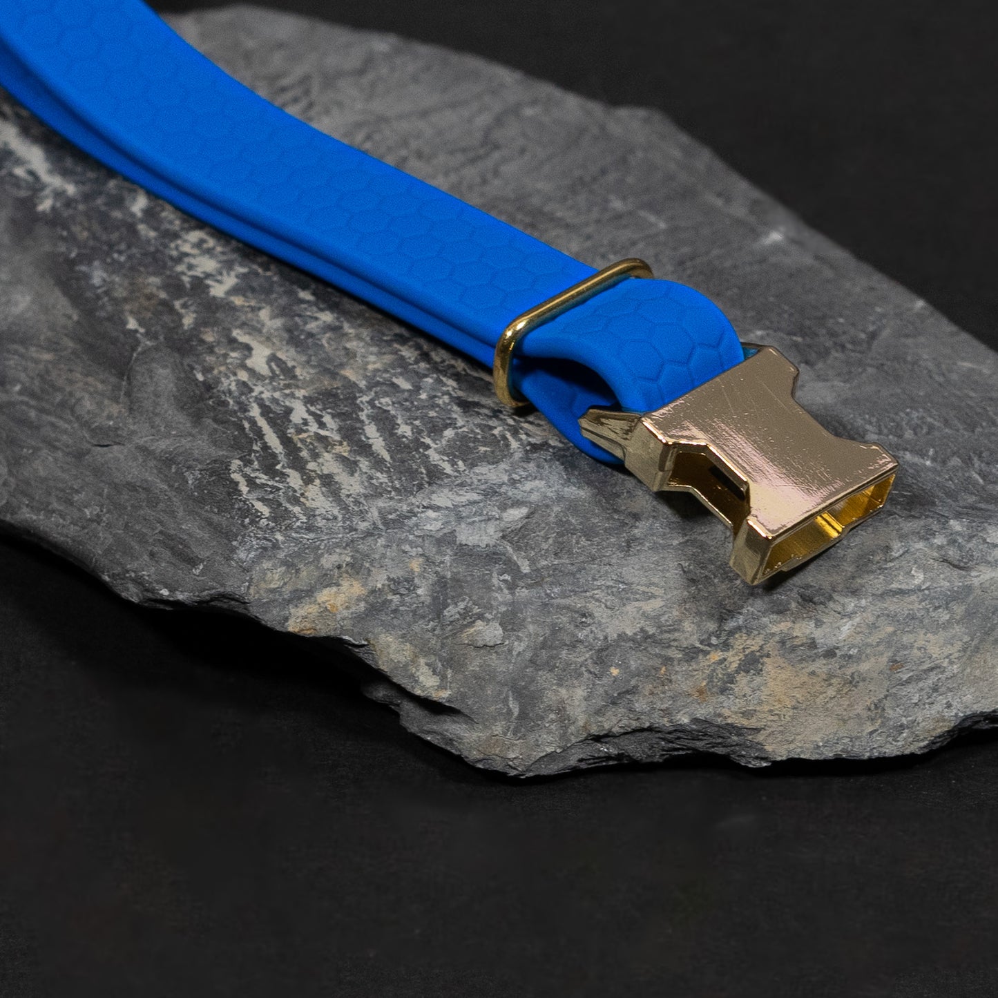 Blue / Gold