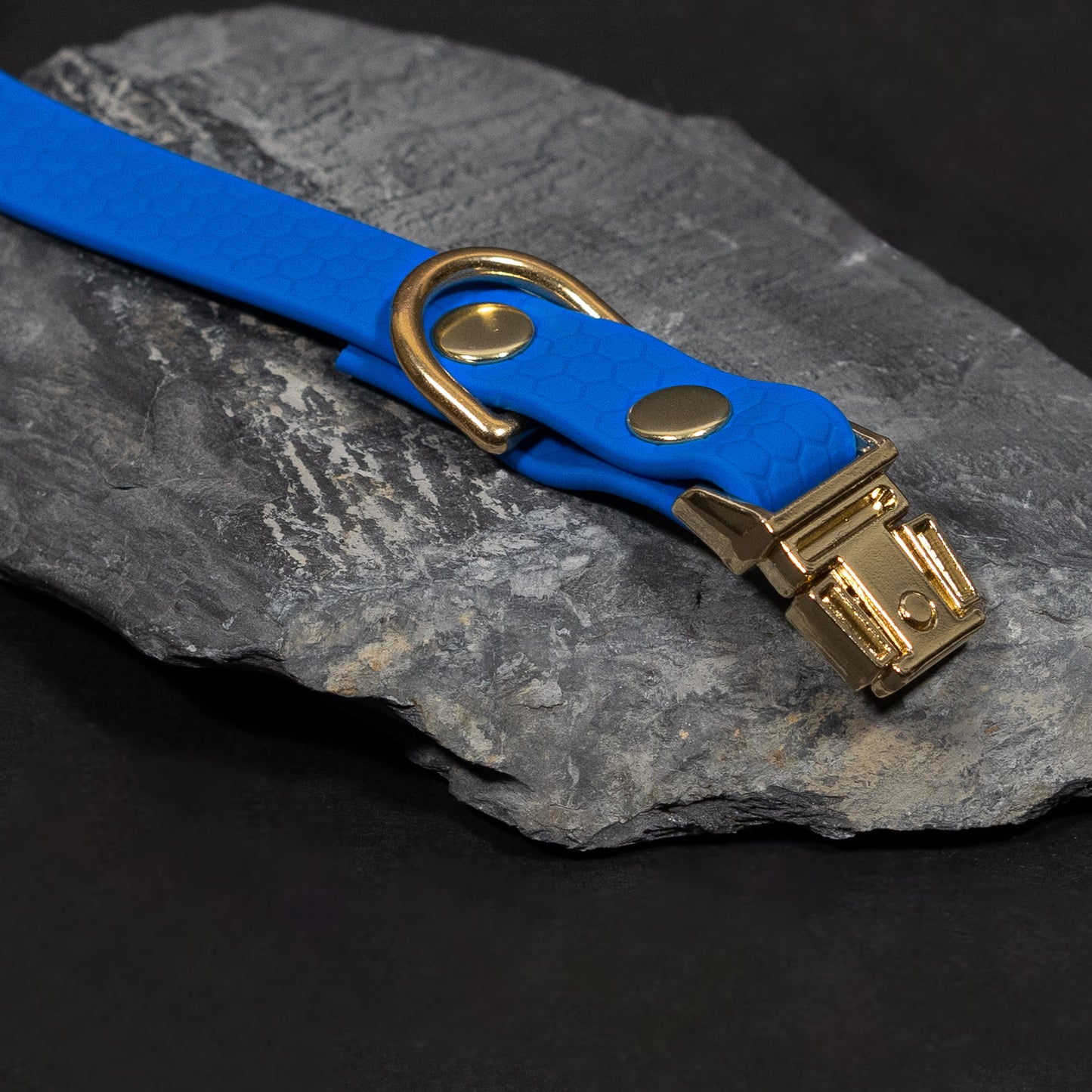 Blue / Gold