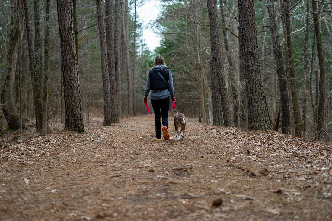 How I Hold a Dog Leash for Better Walks