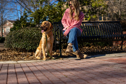 Why I know dogs are a reflection of God